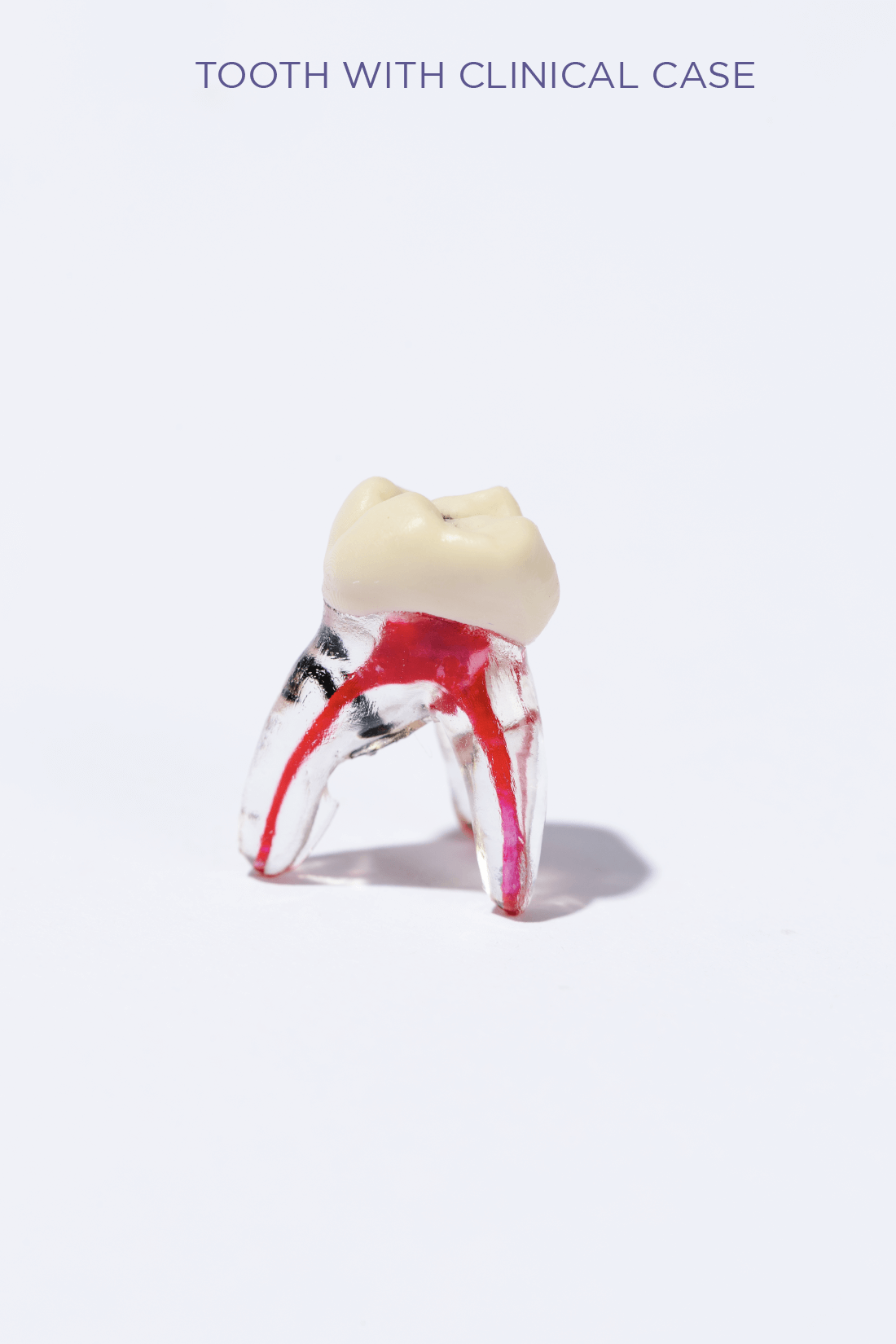 PEDIATRIC TEETH SET