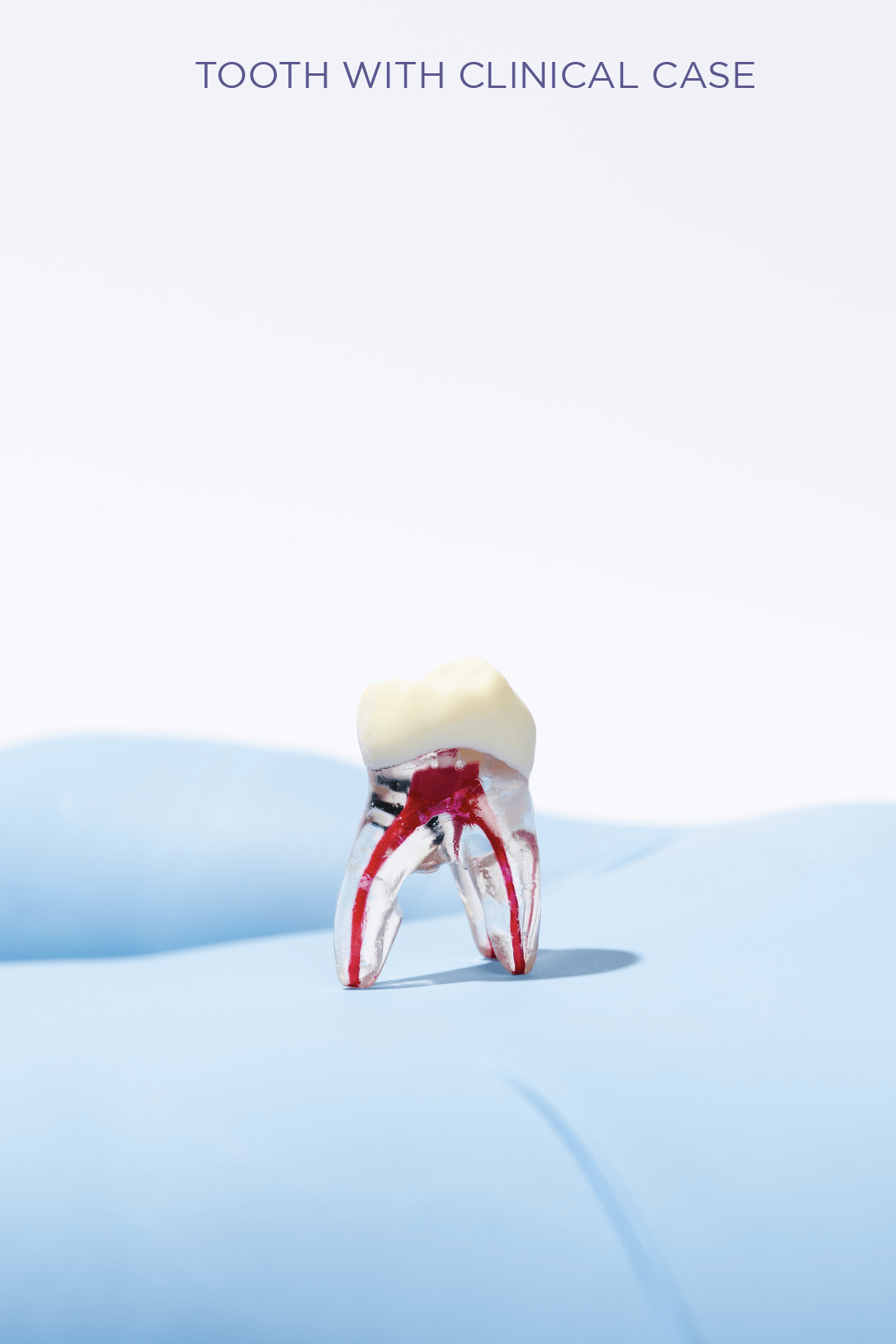 PEDIATRIC TEETH SET