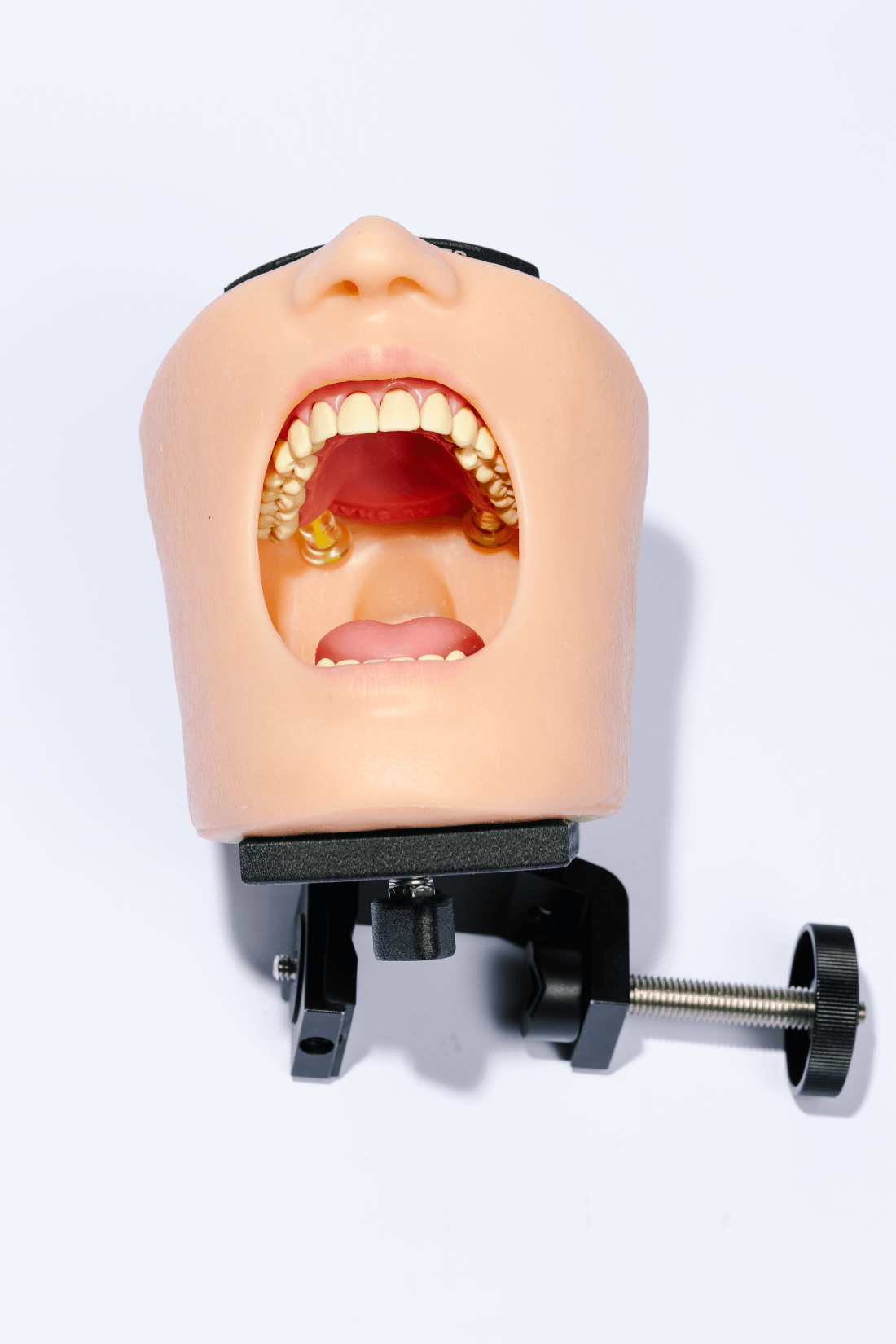 PORTABLE TRAINING UNIT