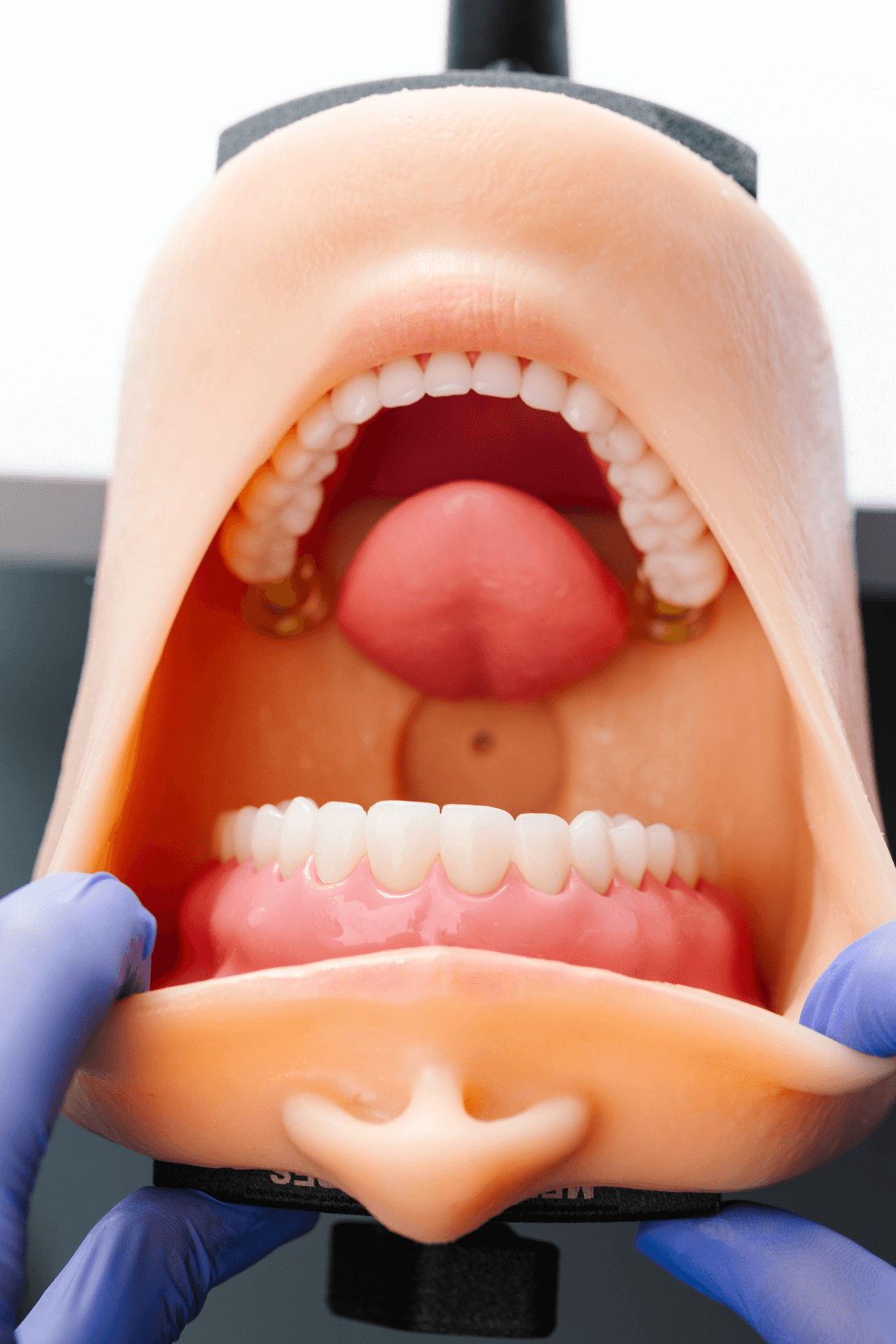 PORTABLE TRAINING UNIT